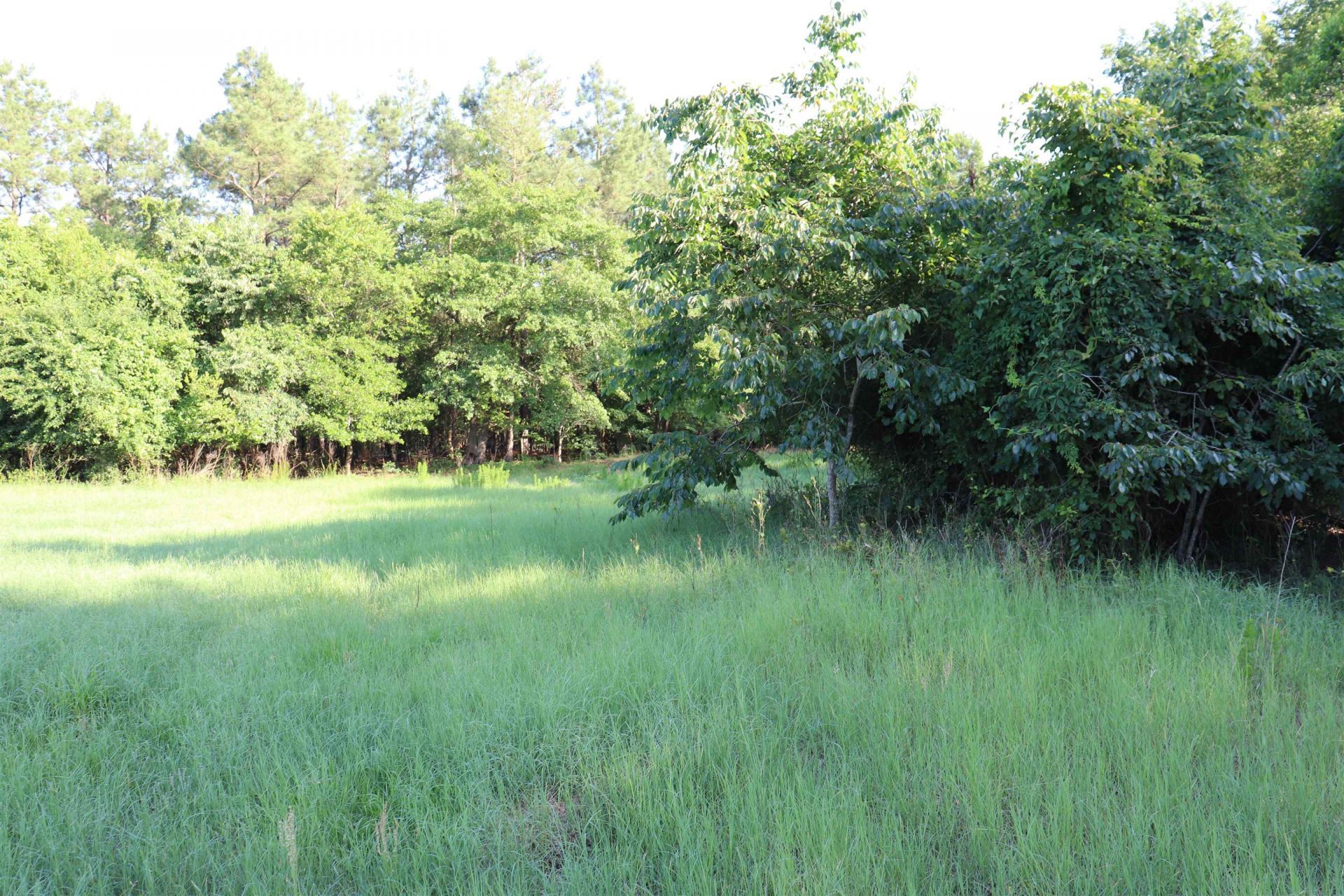 2631 Charlie Johnson Rd  Photo 14