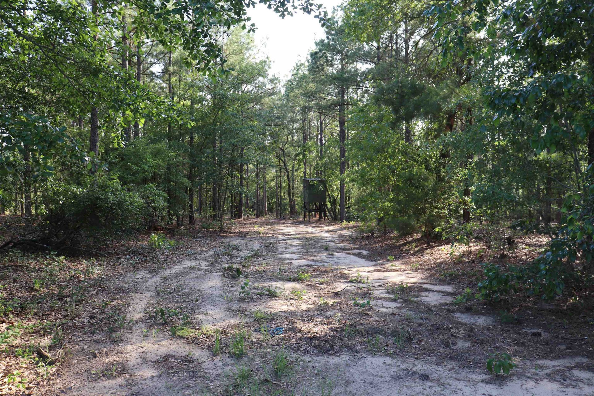 2631 Charlie Johnson Rd  Photo 19