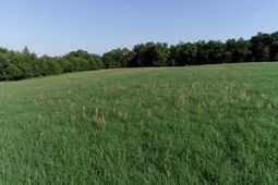 2631 Charlie Johnson Rd  photo 4