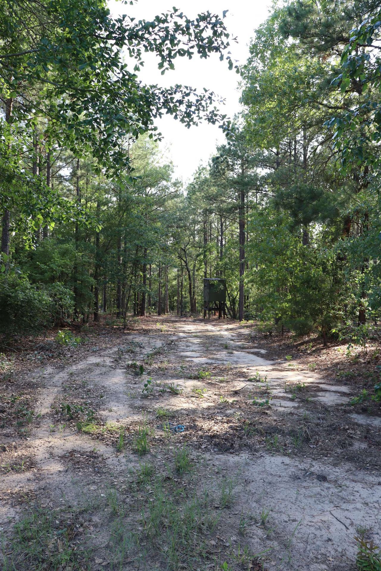 2631 Charlie Johnson Rd  Photo 20