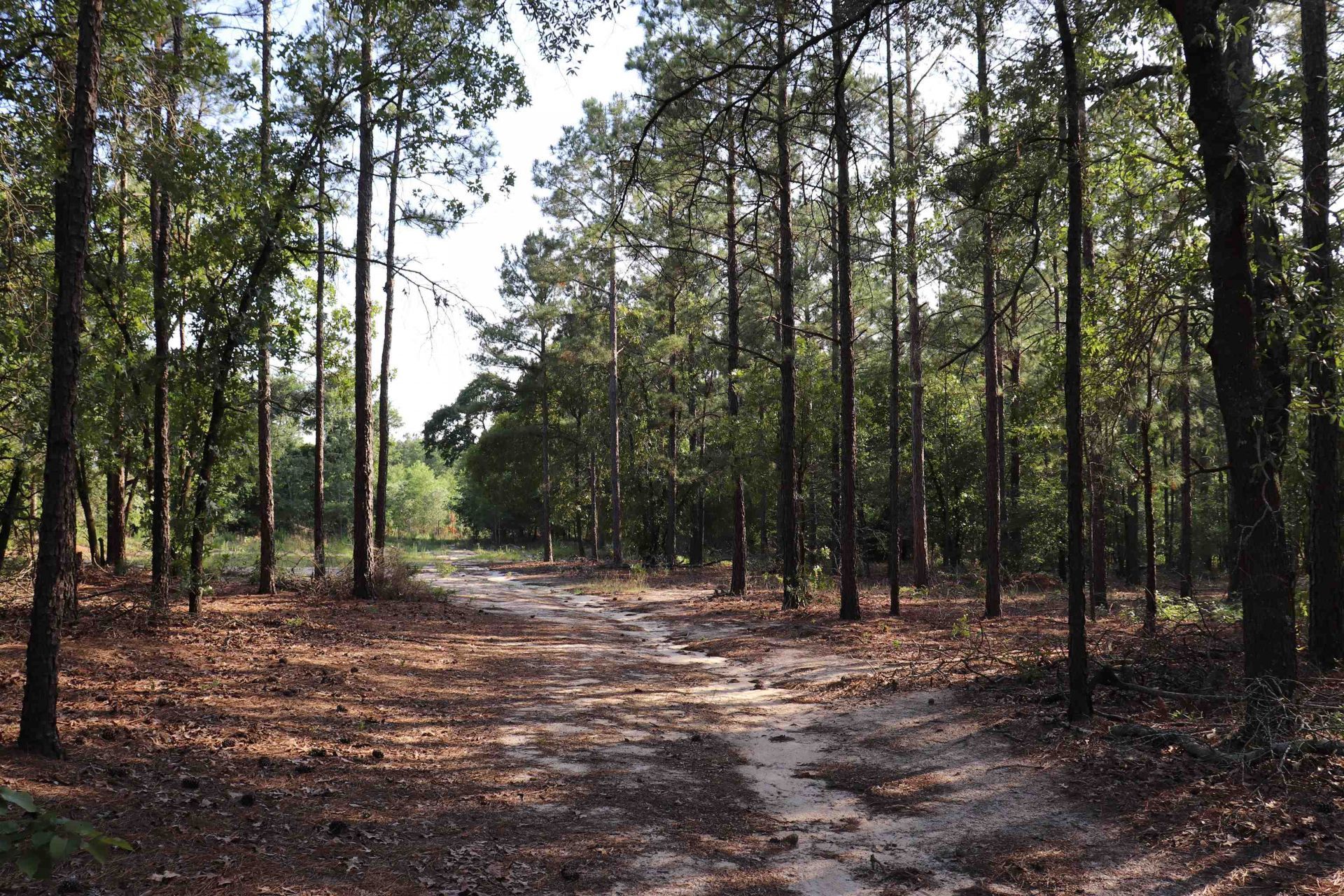 2631 Charlie Johnson Rd  Photo 22