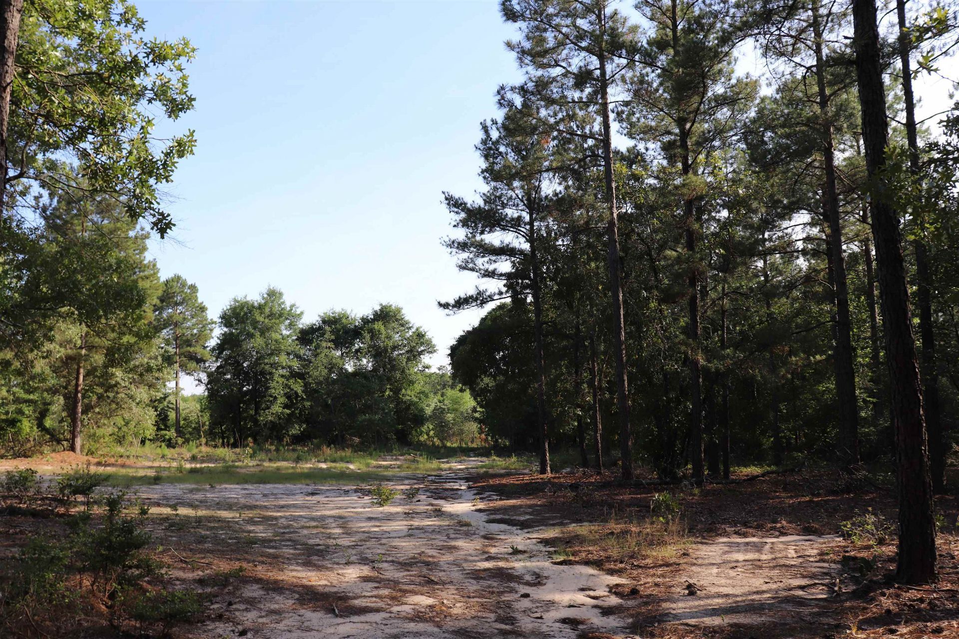 2631 Charlie Johnson Rd  Photo 23