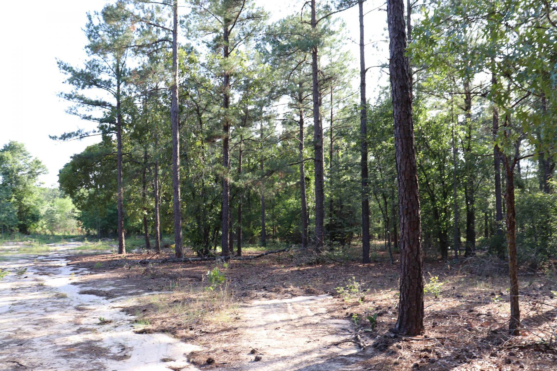 2631 Charlie Johnson Rd  Photo 25