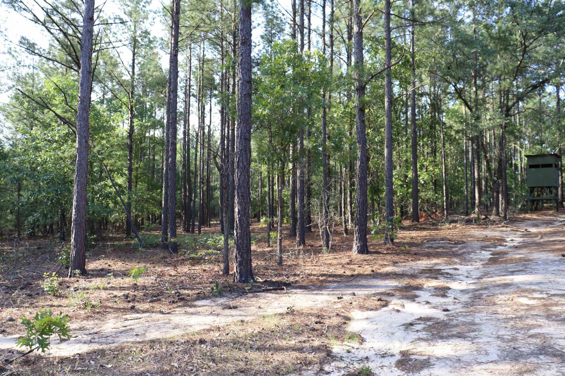 2631 Charlie Johnson Rd  Photo 26