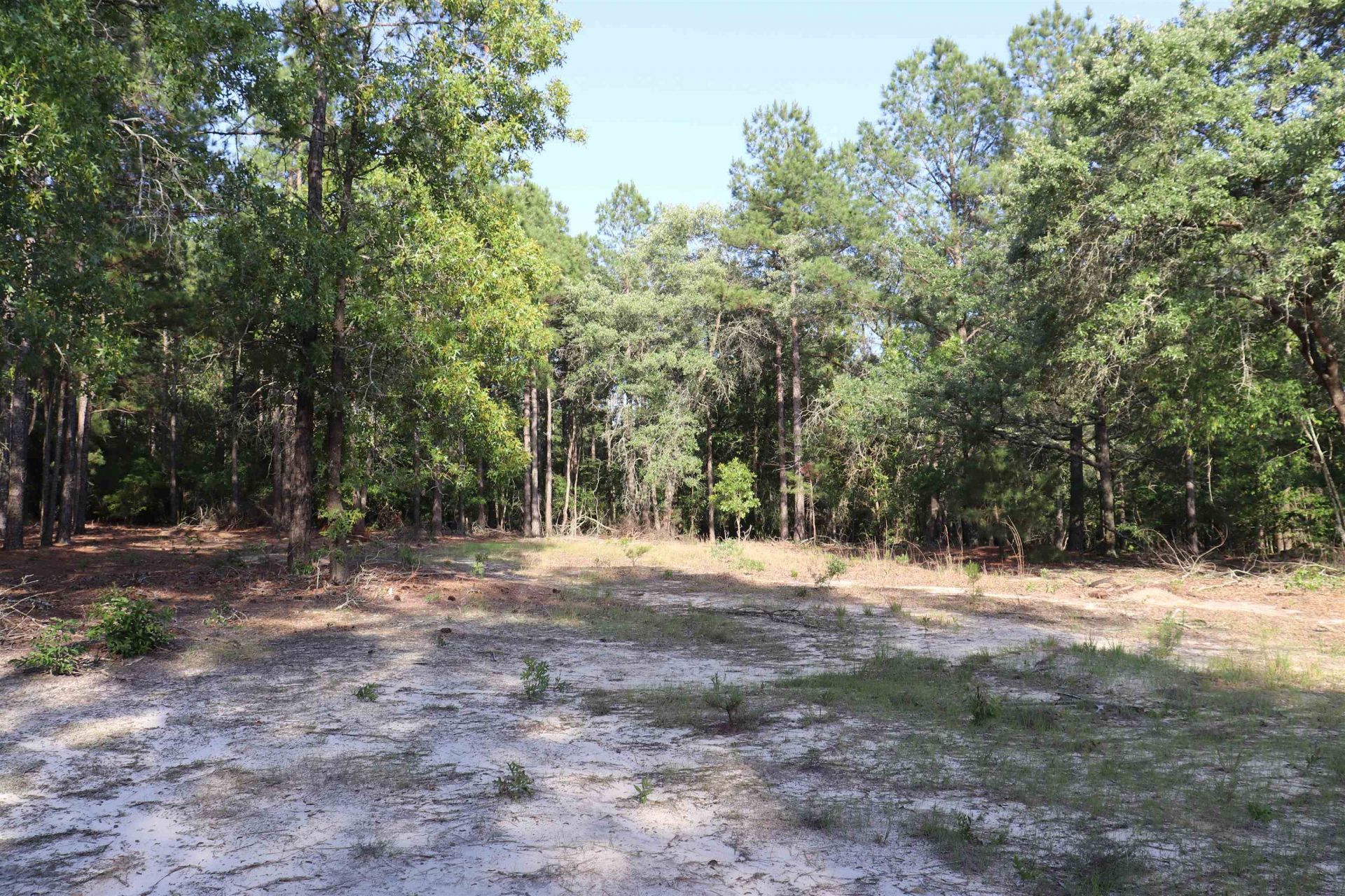 2631 Charlie Johnson Rd  Photo 27