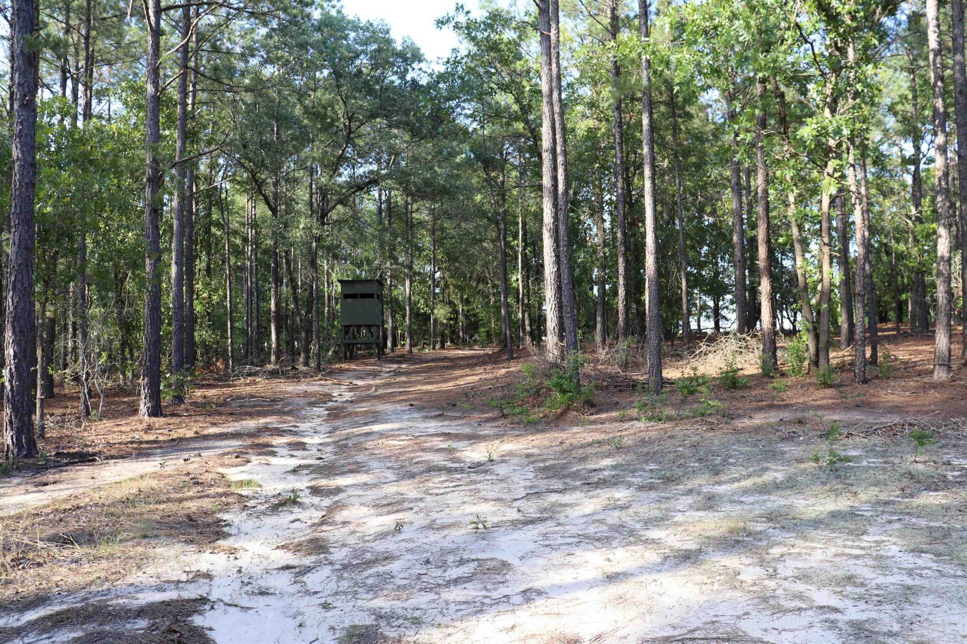 2631 Charlie Johnson Rd  Photo 28