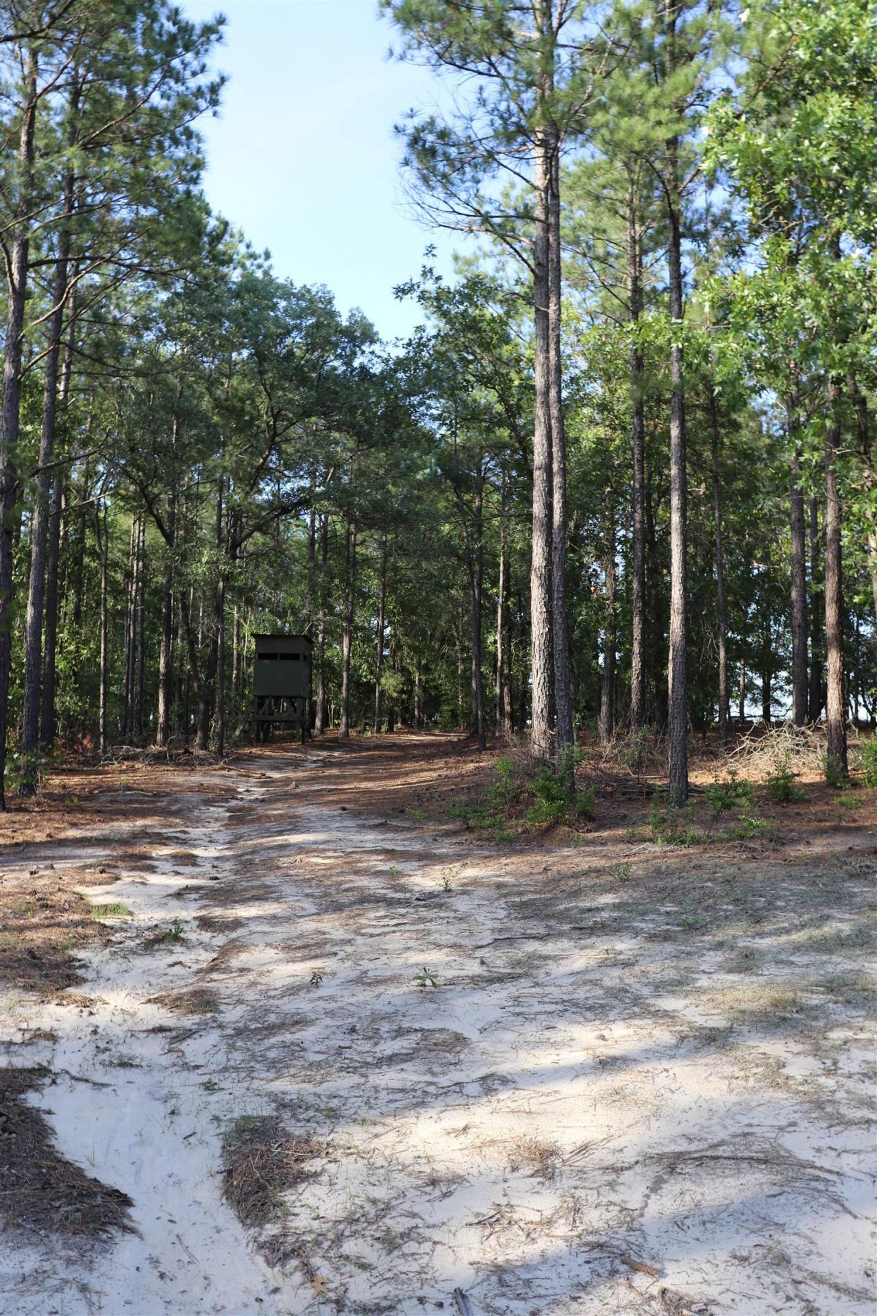 2631 Charlie Johnson Rd  Photo 29