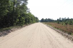 2631 Charlie Johnson Rd  photo 4