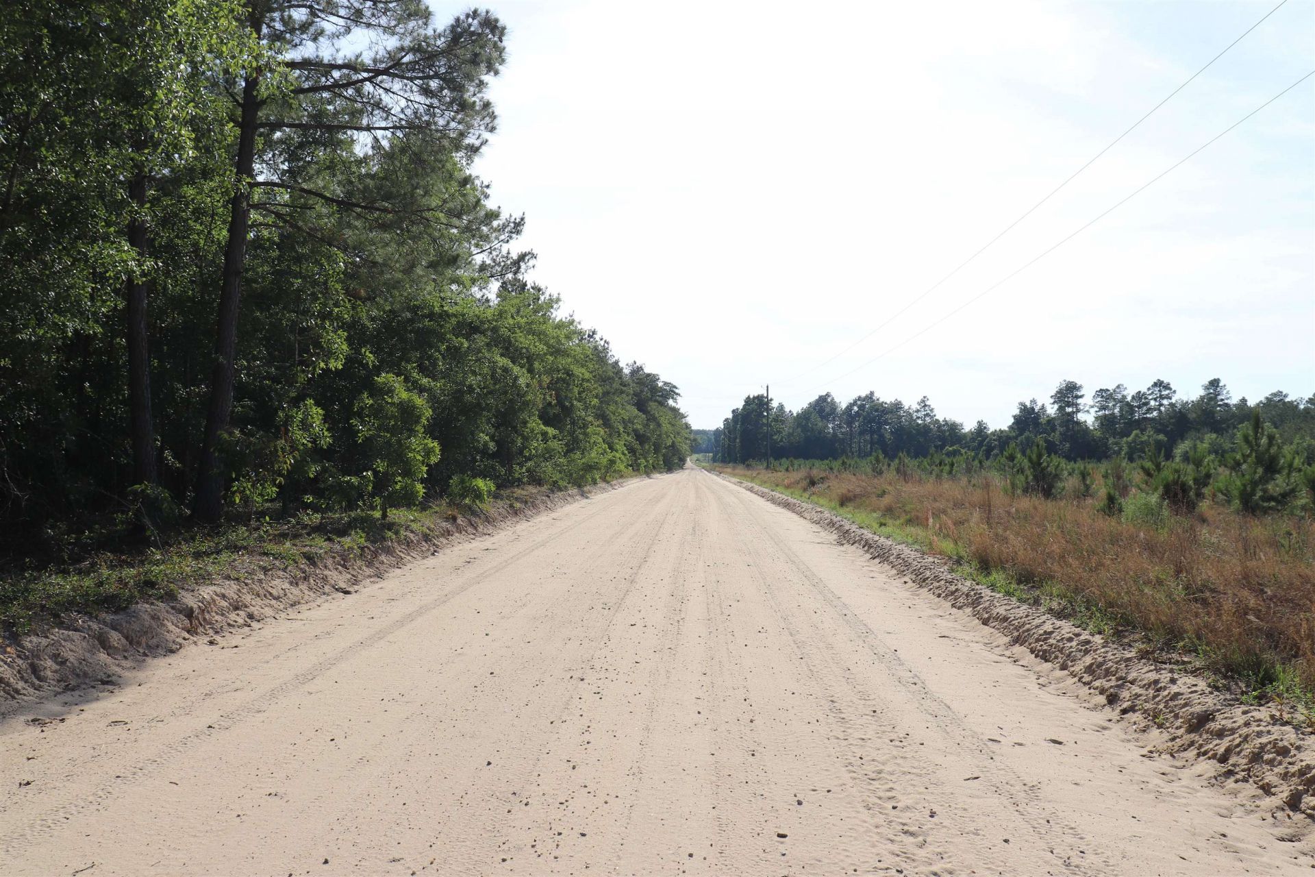 2631 Charlie Johnson Rd  Photo 6