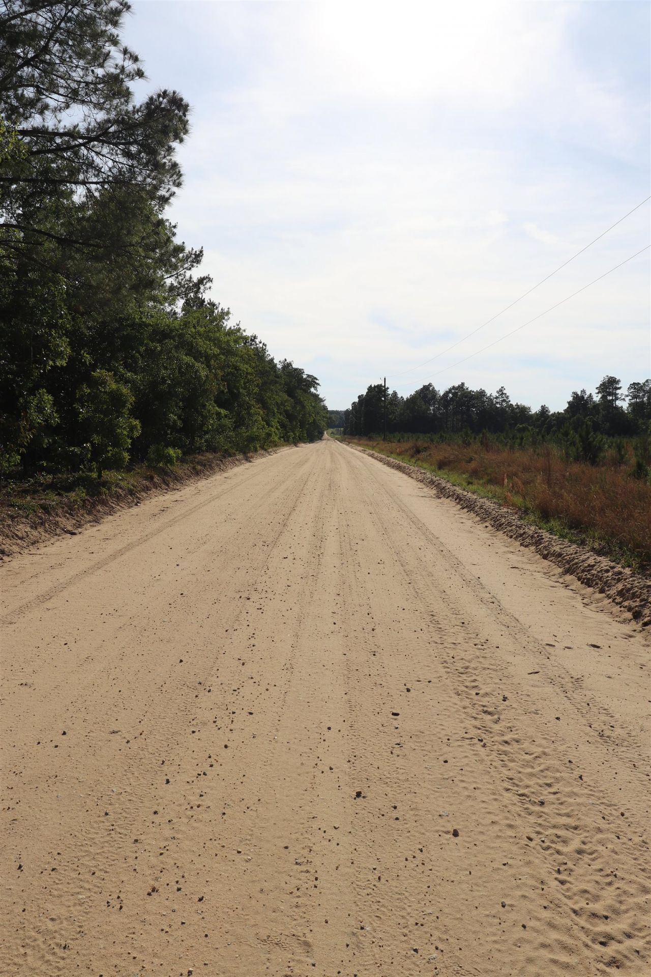 2631 Charlie Johnson Rd  Photo 7