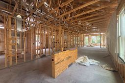 1157 Lady Bird Way  photo 4