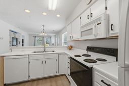 556 White River Dr.  photo 4