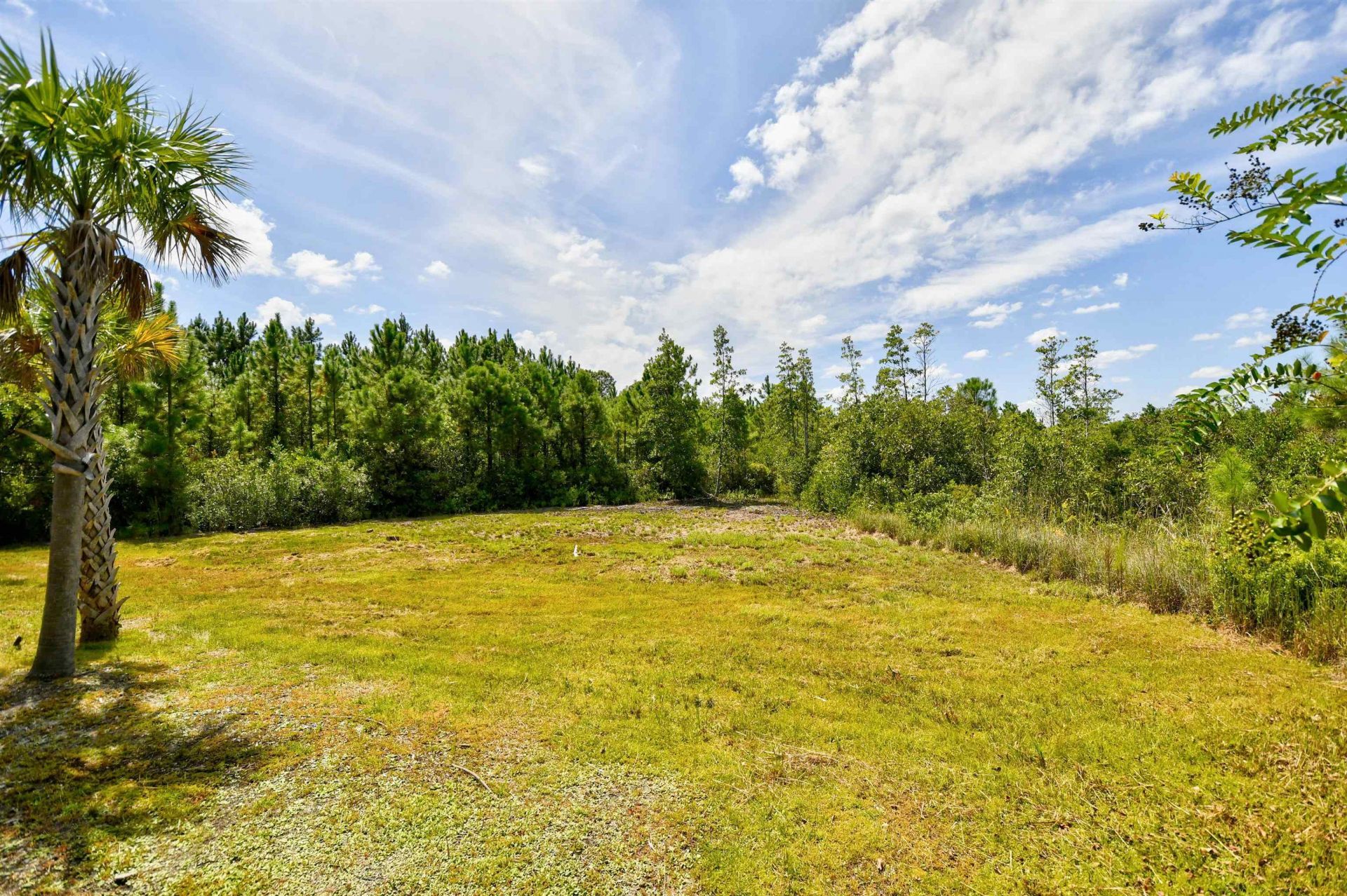 3203 Birdsong Ct. Photo 51
