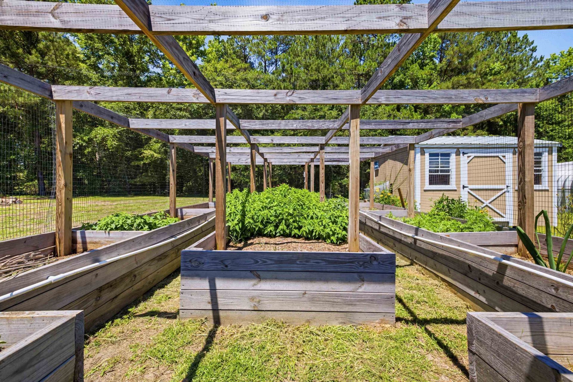 5417 Privetts Rd.  Photo 53
