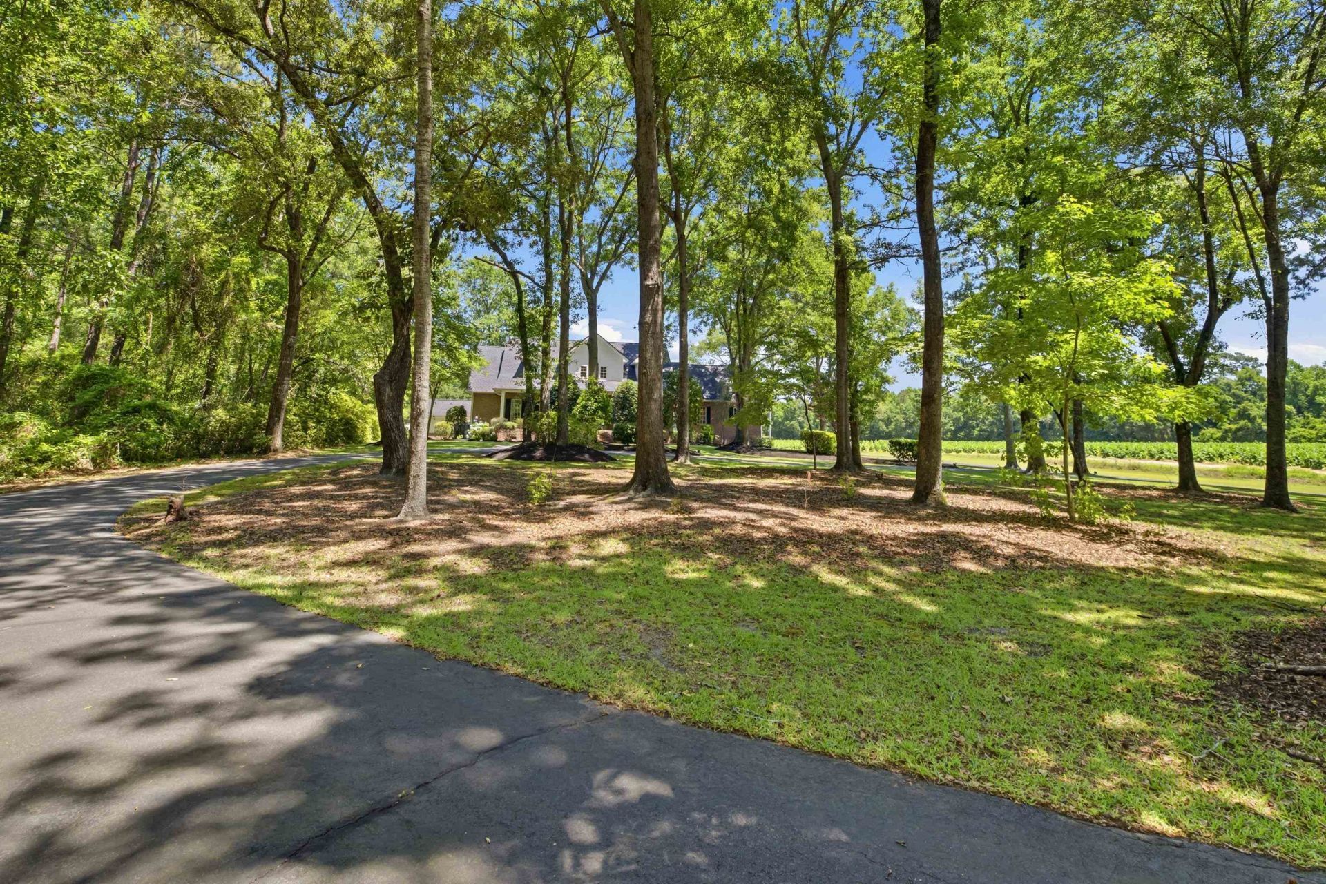 5417 Privetts Rd. Photo 59
