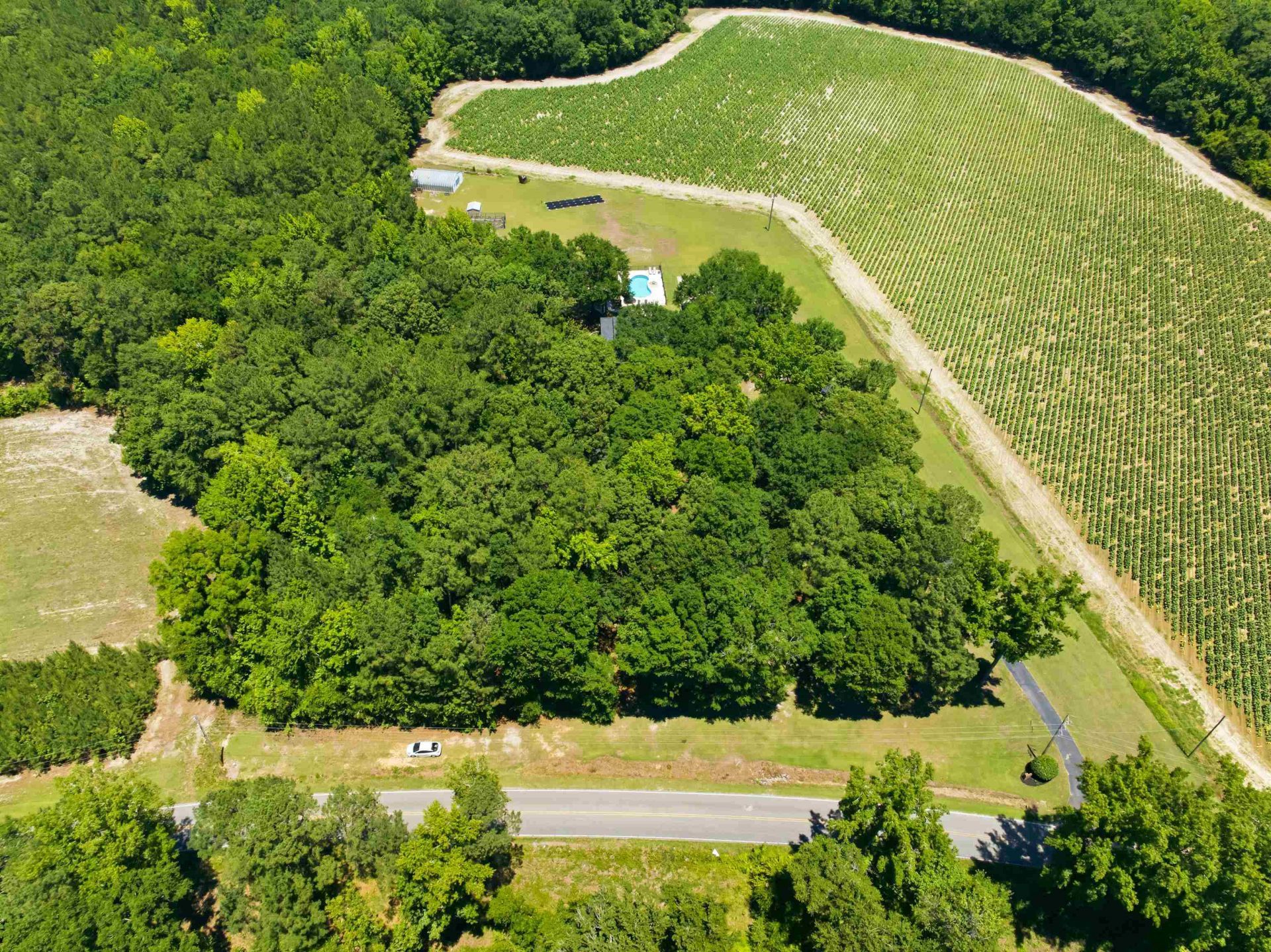 5417 Privetts Rd.  Photo 73