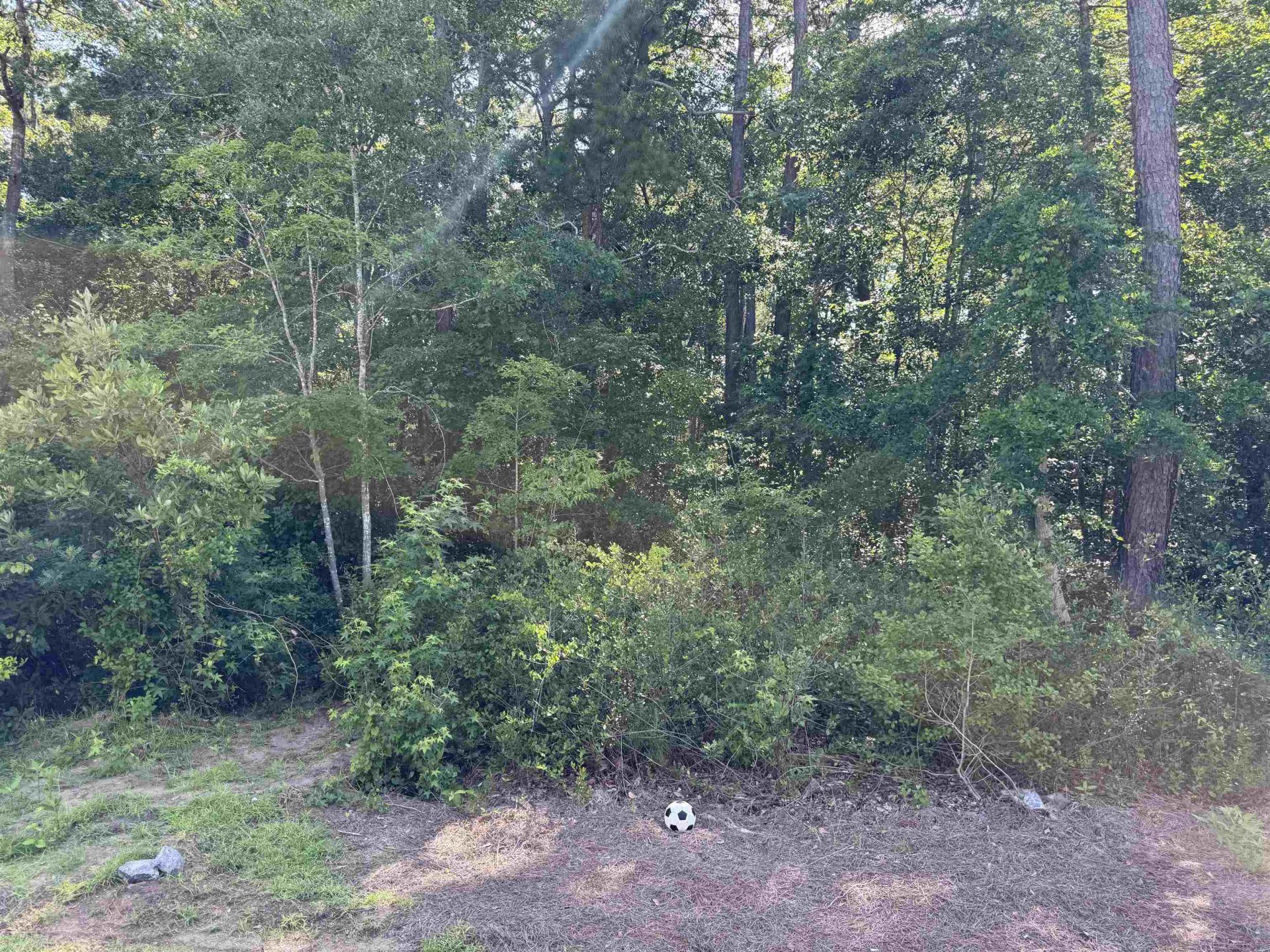 269 Christiana Ln.  Photo 28