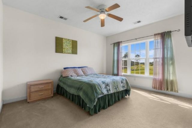 6010 Windsor Green Way  Photo 17
