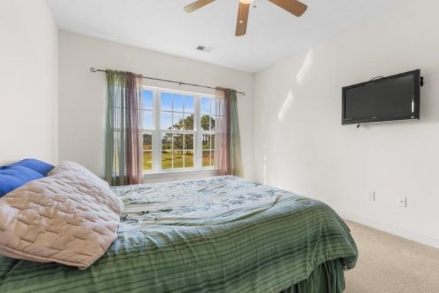 6010 Windsor Green Way  Photo 19