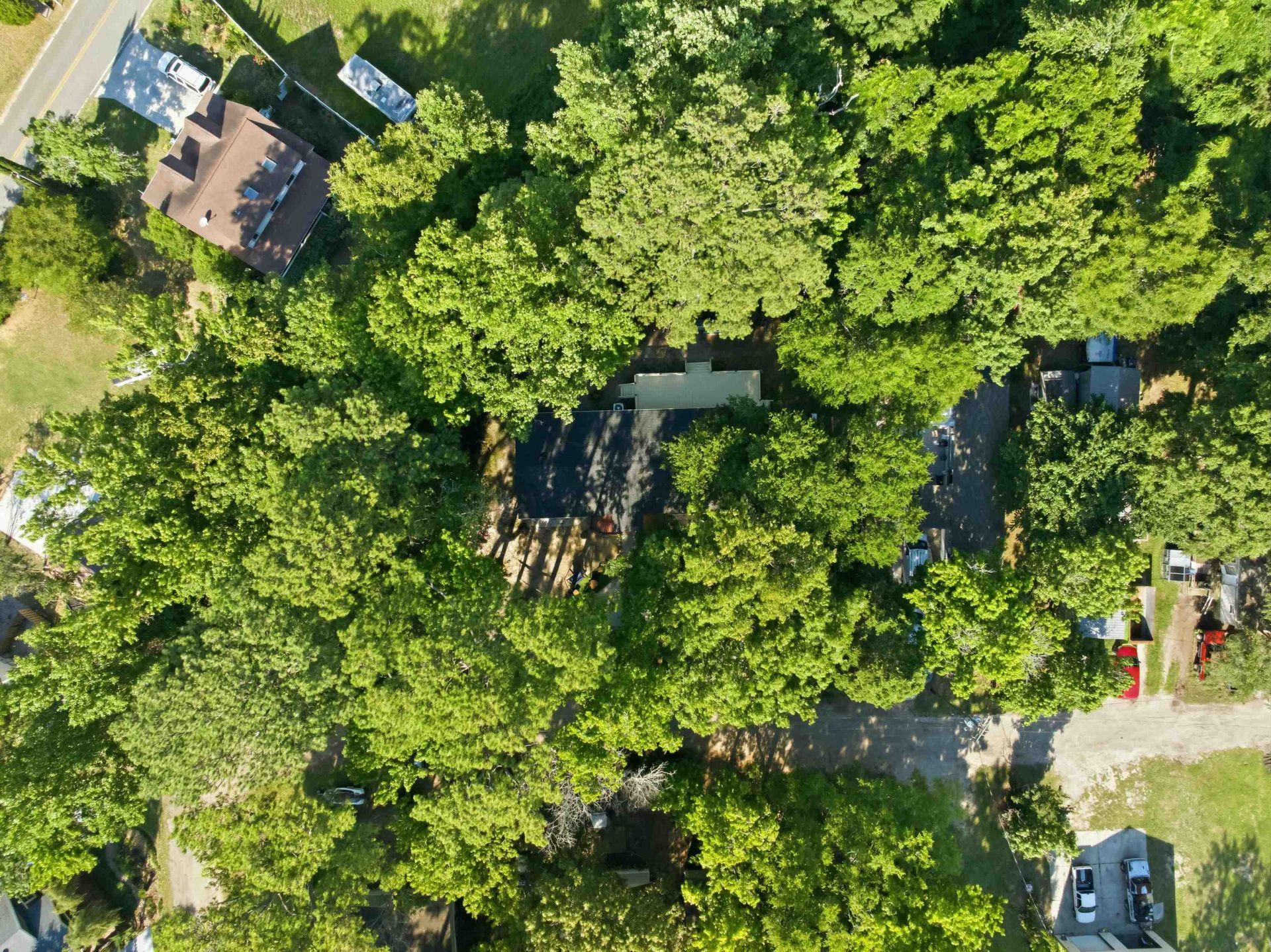 391 Di-cindy Ln. Photo 43