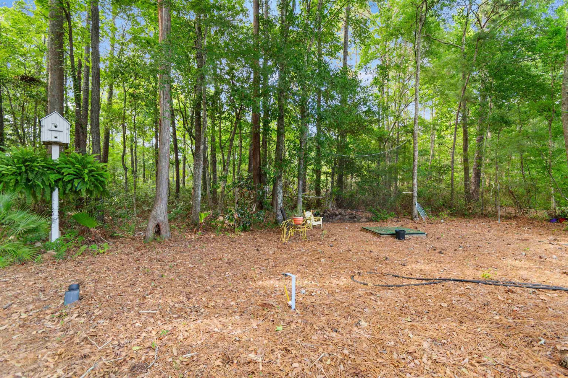 115 Beaufain Ct.  Photo 35