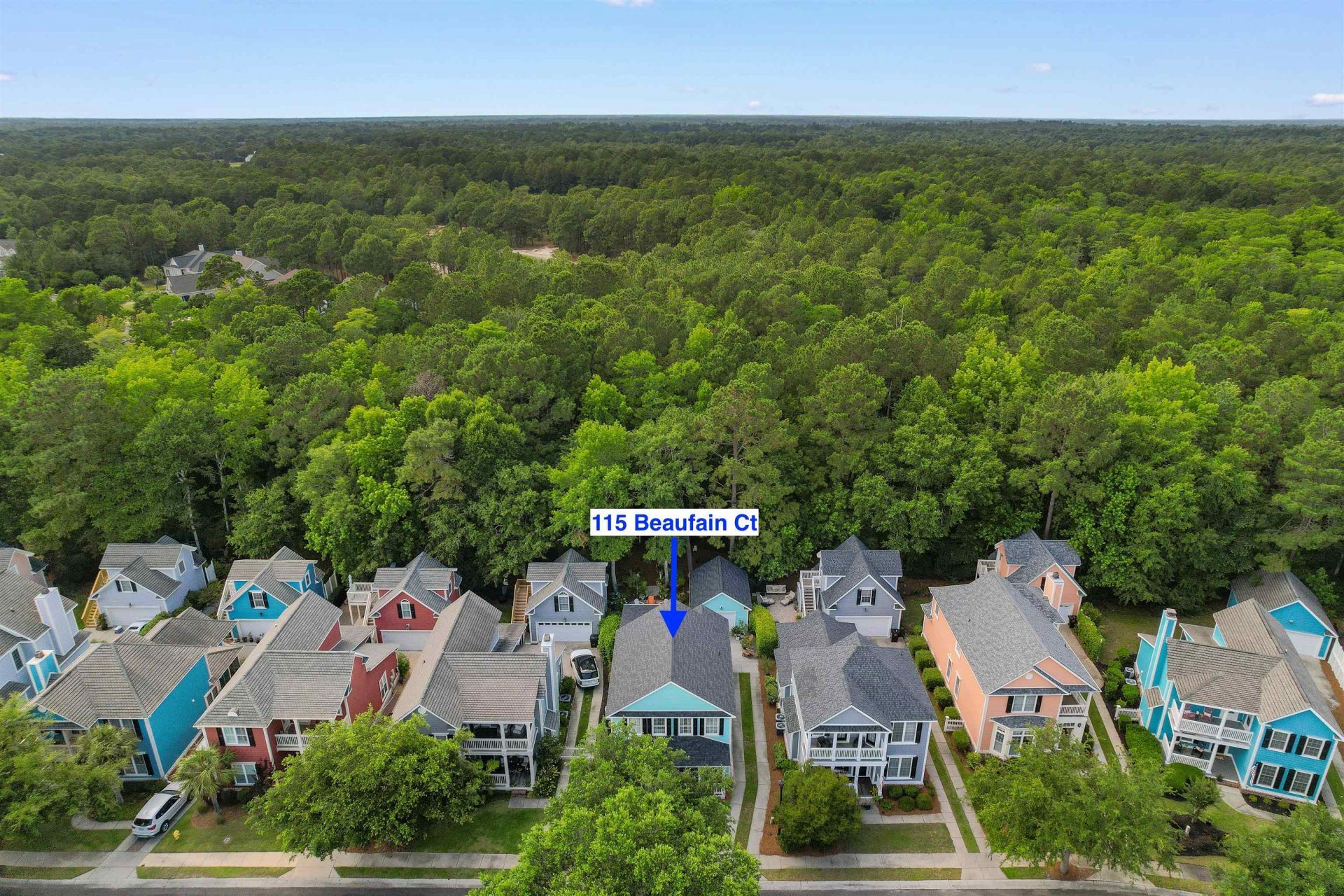 115 Beaufain Ct.  Photo 42
