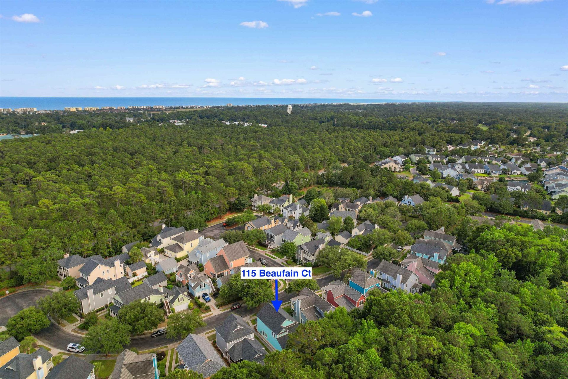115 Beaufain Ct.  Photo 43
