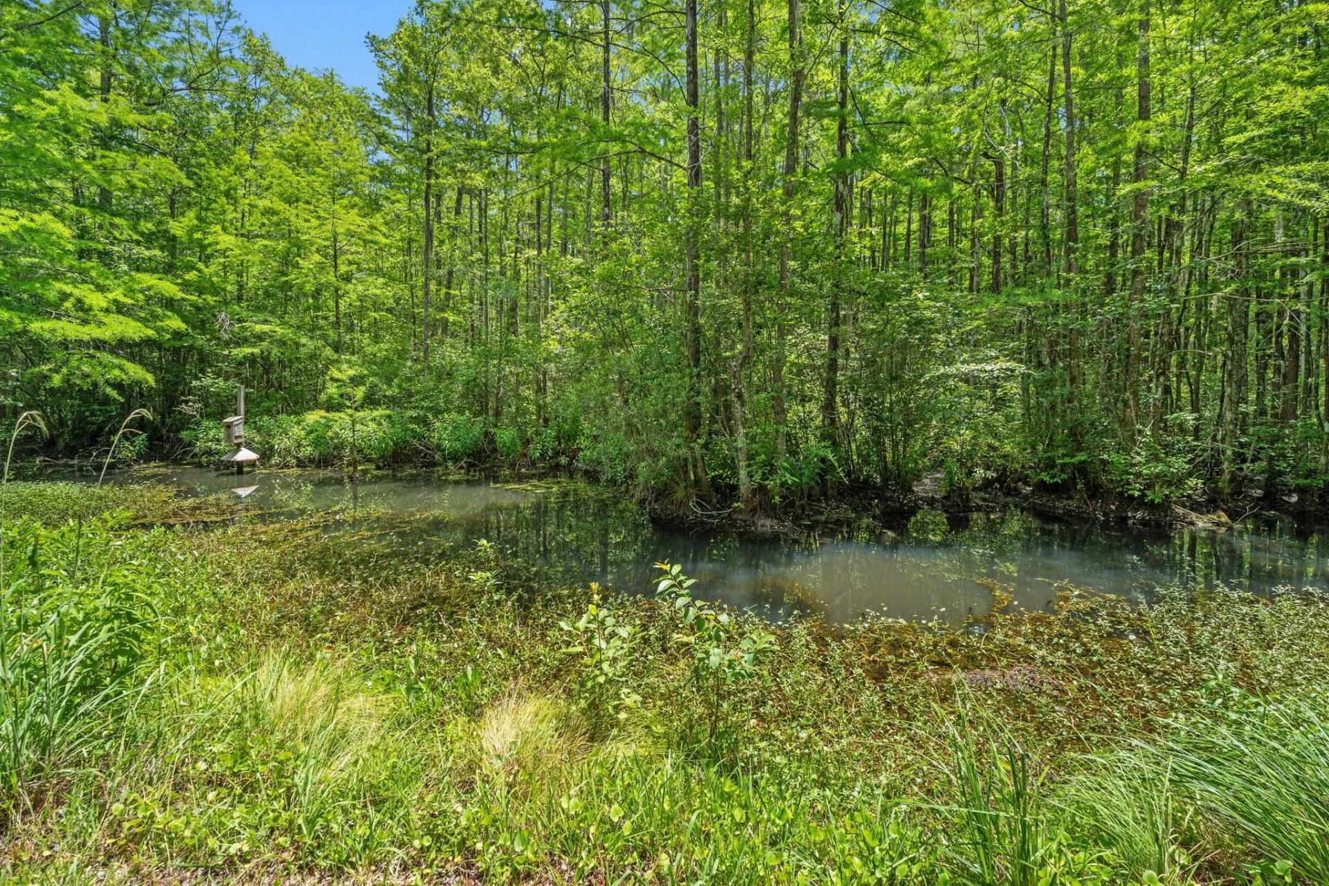 78 Sandpiper Ln.  Photo 30