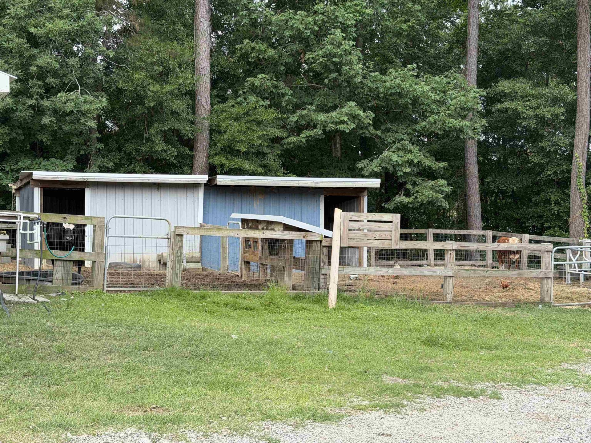 1407 Lees Landing Circle  Photo 54