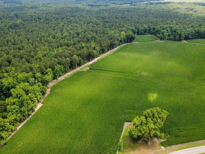 TBD (Tract 6) Long Branch Swamp Rd. , Green Sea, SC 29545
