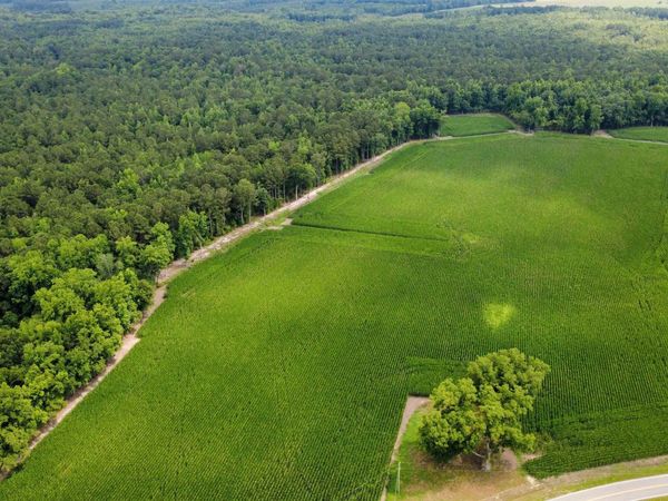 TBD (Tract 6) Long Branch Swamp Rd. , Green Sea, SC 29545
