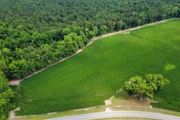 Tbd (tract 6) Long Branch Swamp Rd.  photo 4
