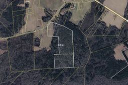 Tbd (tract 6) Long Branch Swamp Rd.  photo 4
