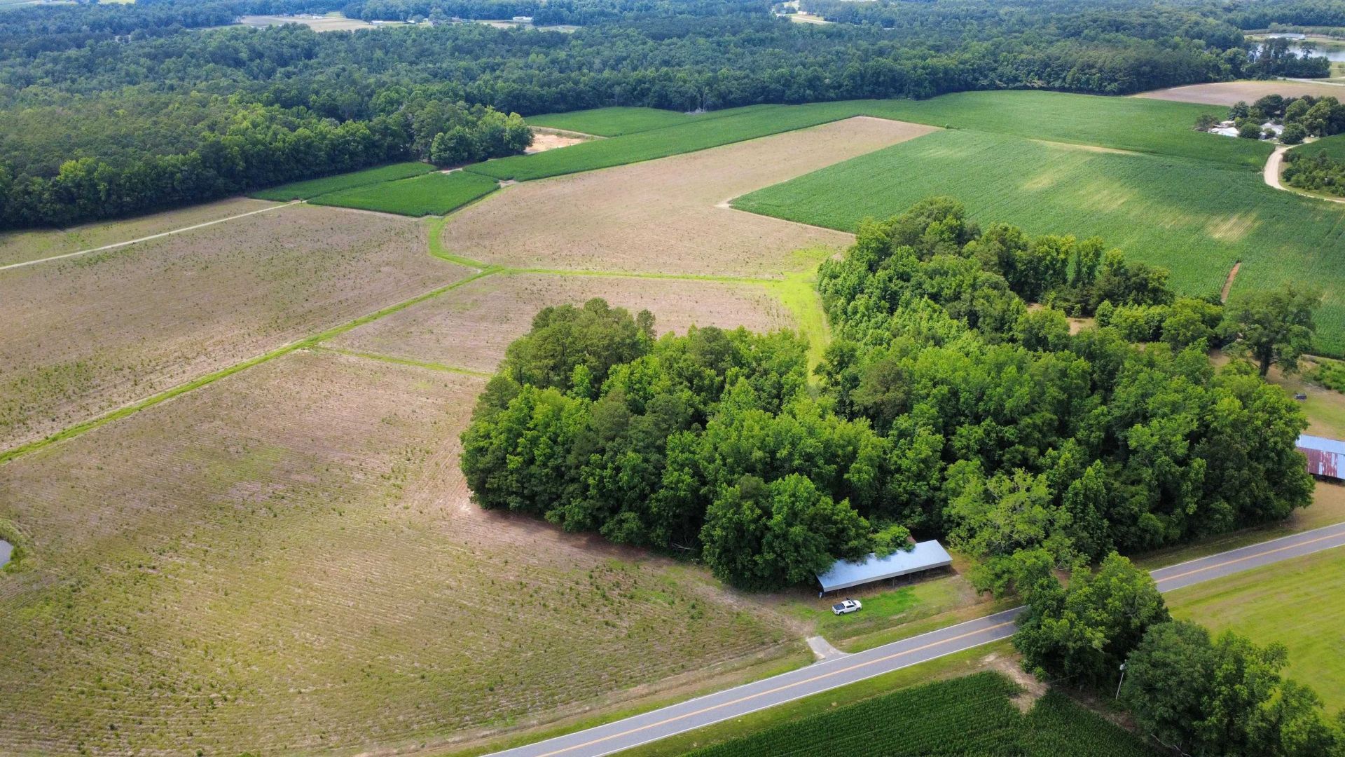 Tbd (tract 4 R) Long Branch Swamp Rd.  Photo 4