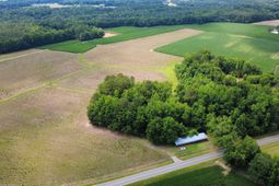 Tbd (tract 4 R) Long Branch Swamp Rd.  photo 4