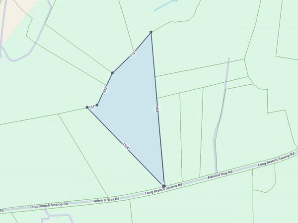 TBD (Tract 1) Long Branch Swamp Rd. , Green Sea, SC 29545