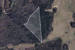 Tbd (tract 1) Long Branch Swamp Rd.  photo 4