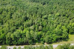 Tbd (tract 1) Long Branch Swamp Rd.  photo 4