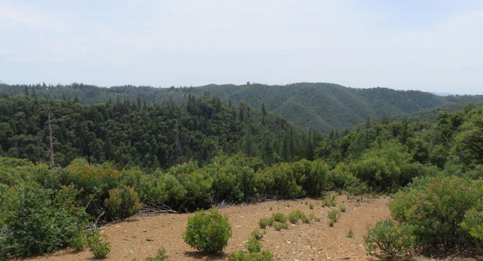 749 Blossom Ln, Mokelumne Hill, CA 95245 Photo