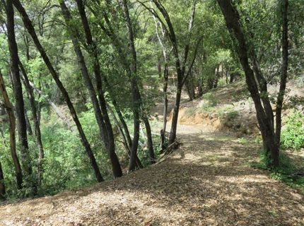 749 Blossom Ln, Mokelumne Hill, CA 95245 Photo
