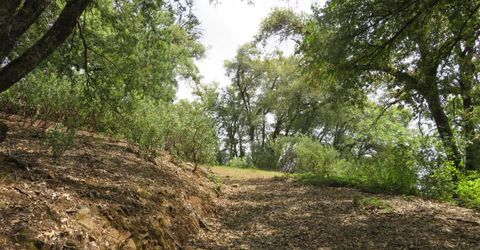 749 Blossom Ln, Mokelumne Hill, CA 95245 Photo