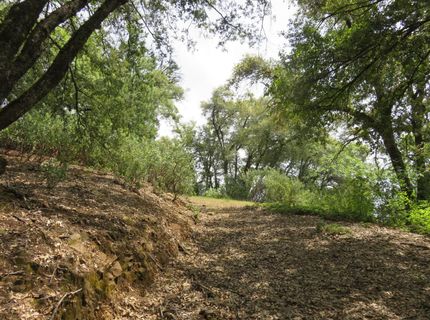749 Blossom Ln, Mokelumne Hill, CA 95245 Photo