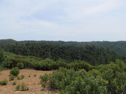 749 Blossom Ln, Mokelumne Hill, CA 95245 Photo