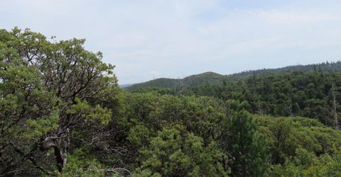 749 Blossom Ln, Mokelumne Hill, CA 95245 Photo