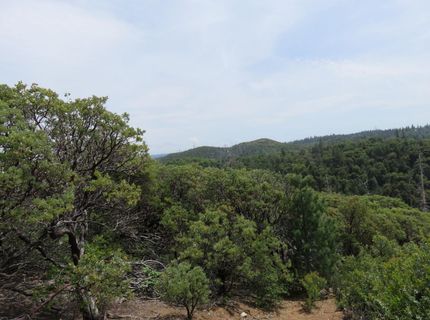 749 Blossom Ln, Mokelumne Hill, CA 95245 Photo
