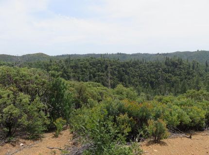 749 Blossom Ln, Mokelumne Hill, CA 95245 Photo