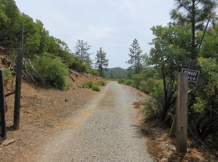 749 Blossom Ln, Mokelumne Hill, CA 95245 Photo