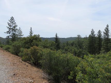 749 Blossom Ln, Mokelumne Hill, CA 95245 Photo