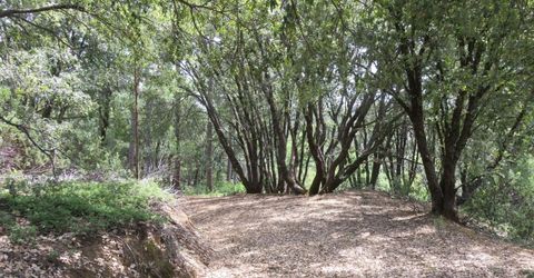749 Blossom Ln, Mokelumne Hill, CA 95245 Photo