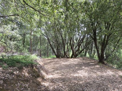 749 Blossom Ln, Mokelumne Hill, CA 95245 Photo